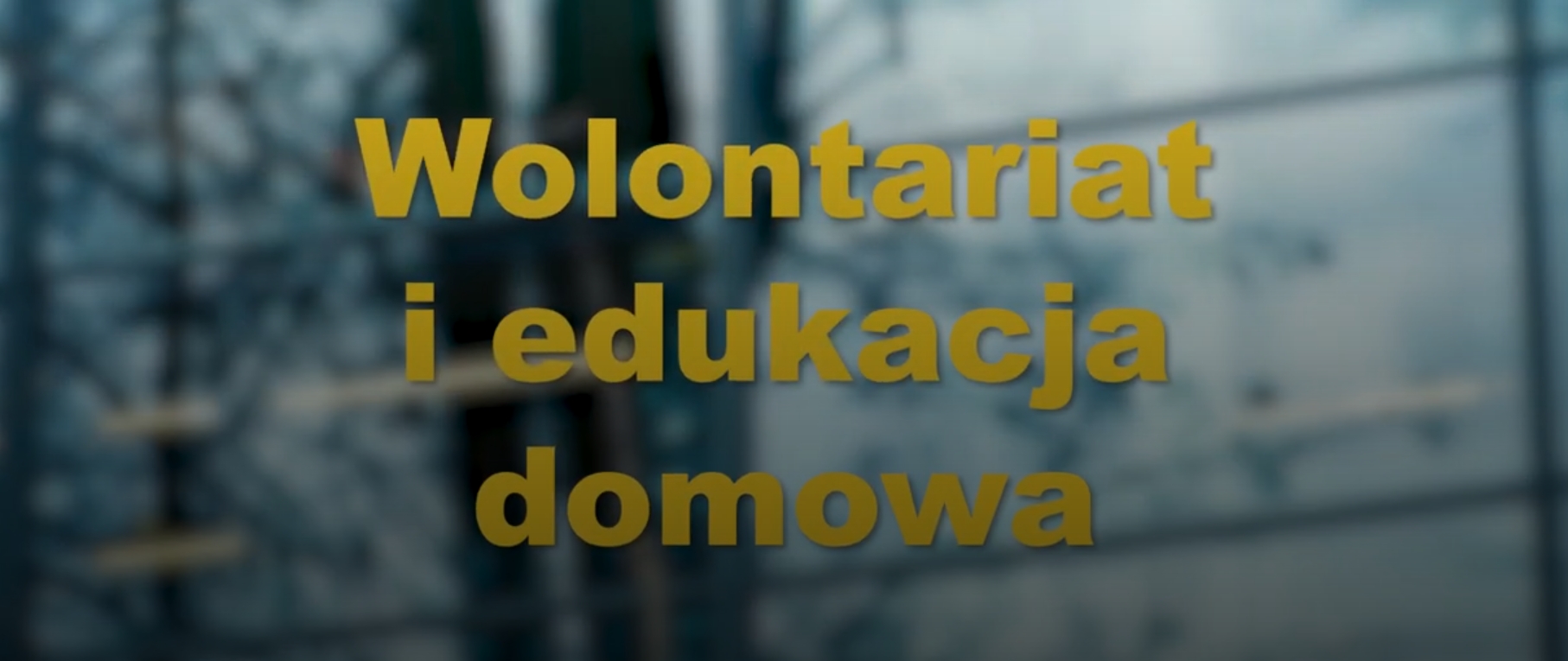 Wolontariat i edukacja